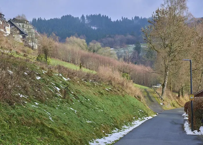Vakantiehuis Kurhaus Am Nordenau *